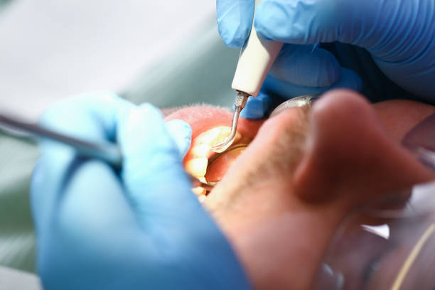Best Dentist Open Late Near Me  in Hainesvle, IL